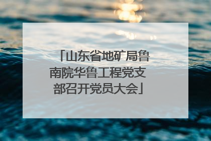 山东省地矿局鲁南院华鲁工程党支部召开党员大会