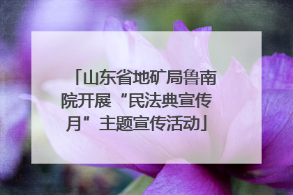 山东省地矿局鲁南院开展“民法典宣传月”主题宣传活动