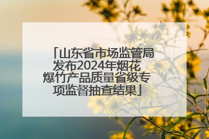 山东省市场监管局发布2024年烟花爆竹产品质量省级专项监督抽查结果