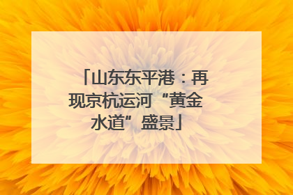 山东东平港：再现京杭运河“黄金水道”盛景