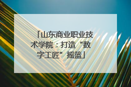 山东商业职业技术学院：打造“数字工匠”摇篮