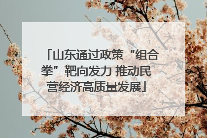 山东通过政策“组合拳”靶向发力 推动民营经济高质量发展