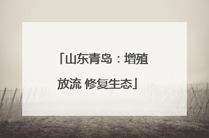 山东青岛：增殖放流 修复生态