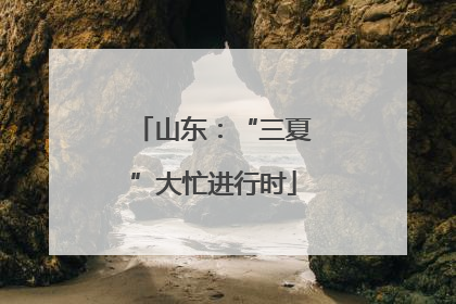 山东：“三夏”大忙进行时