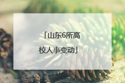山东6所高校人事变动