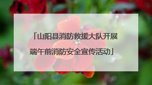 山阳县消防救援大队开展端午前消防安全宣传活动