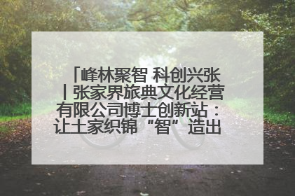 峰林聚智 科创兴张丨张家界旅典文化经营有限公司博士创新站：让土家织锦“智”造出非遗新传奇