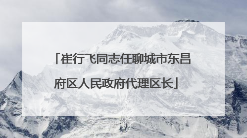 崔行飞同志任聊城市东昌府区人民政府代理区长