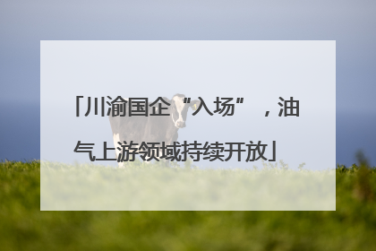 川渝国企“入场”，油气上游领域持续开放
