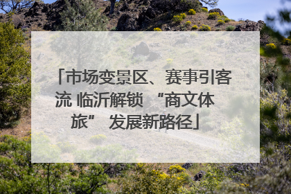市场变景区、赛事引客流 临沂解锁 “商文体旅” 发展新路径