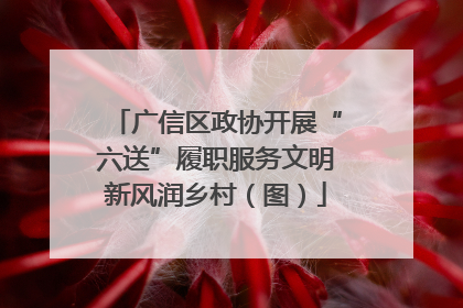 广信区政协开展“六送”履职服务文明新风润乡村（图）