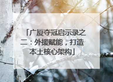 广厦夺冠启示录之二：外援赋能，打造本土核心架构