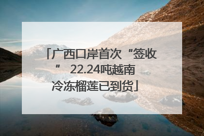 广西口岸首次“签收” 22.24吨越南冷冻榴莲已到货