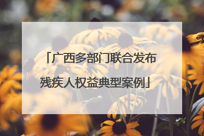 广西多部门联合发布残疾人权益典型案例