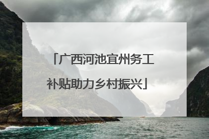 广西河池宜州务工补贴助力乡村振兴