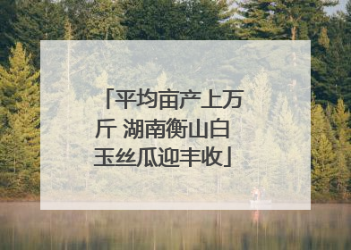 平均亩产上万斤 湖南衡山白玉丝瓜迎丰收