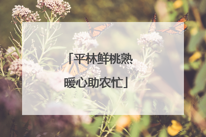 平林鲜桃熟 暖心助农忙