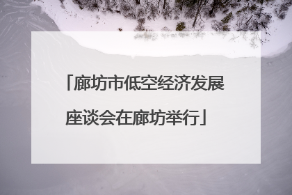 廊坊市低空经济发展座谈会在廊坊举行