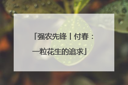 强农先锋丨付春：一粒花生的追求