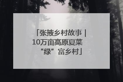 张掖乡村故事｜10万亩高原夏菜“绿”富乡村