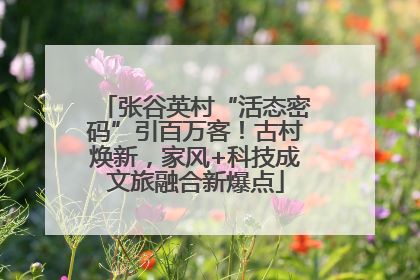 张谷英村“活态密码”引百万客！古村焕新，家风+科技成文旅融合新爆点