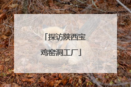探访陕西宝鸡窑洞工厂