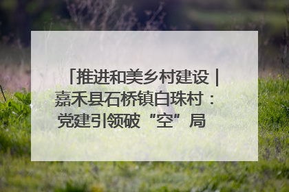 推进和美乡村建设｜嘉禾县石桥镇白珠村：党建引领破“空”局 乡贤聚力绘就新图景