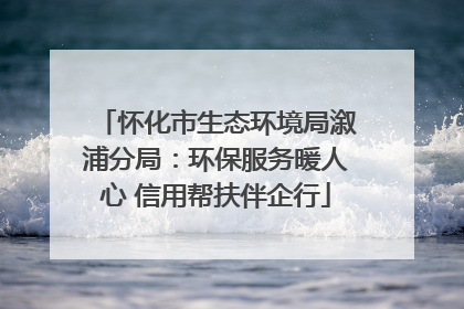 怀化市生态环境局溆浦分局：环保服务暖人心 信用帮扶伴企行