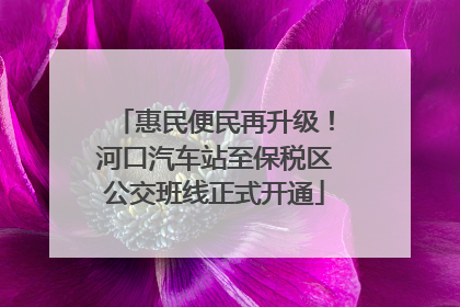 惠民便民再升级！河口汽车站至保税区公交班线正式开通