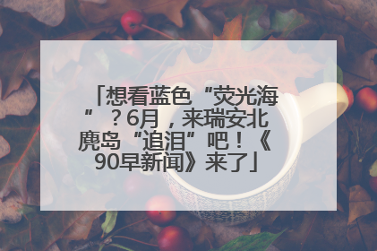 想看蓝色“荧光海”？6月，来瑞安北麂岛“追泪”吧！《90早新闻》来了