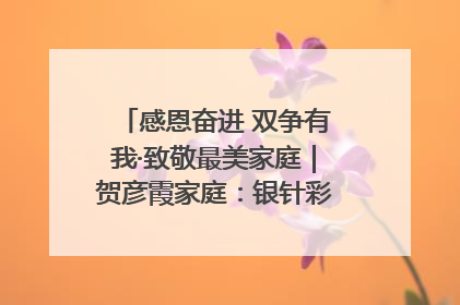 感恩奋进 双争有我·致敬最美家庭｜贺彦霞家庭：银针彩线绣出好日子