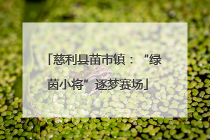 慈利县苗市镇：“绿茵小将”逐梦赛场