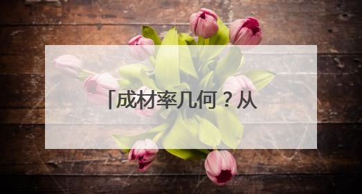 成材率几何？从武切维奇到申京，16顺位走出的球星还真不少