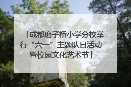 成都磨子桥小学分校举行“六一”主题队日活动暨校园文化艺术节
