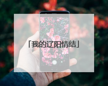 我的辽阳情结