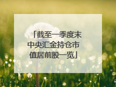 截至一季度末中央汇金持仓市值居前股一览