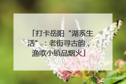 打卡岳阳“湖系生活”：老街寻古韵，渔歌小镇品烟火