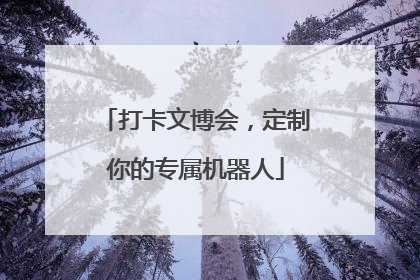 打卡文博会，定制你的专属机器人