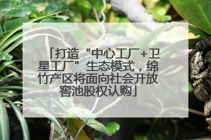打造“中心工厂+卫星工厂”生态模式，绵竹产区将面向社会开放窖池股权认购