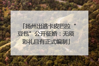扬州出逃卡皮巴拉“豆包”公开征婚：无须彩礼且有正式编制