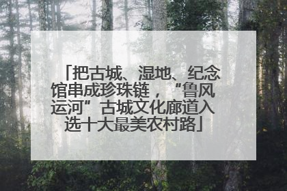 把古城、湿地、纪念馆串成珍珠链，“鲁风运河”古城文化廊道入选十大最美农村路