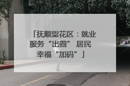 抚顺望花区：就业服务“出圈” 居民幸福“加码”