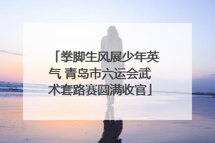 拳脚生风展少年英气 青岛市六运会武术套路赛圆满收官