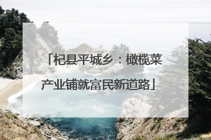 杞县平城乡：橄榄菜产业铺就富民新道路