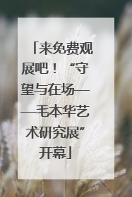 来免费观展吧！“守望与在场——毛本华艺术研究展”开幕