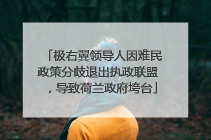 极右翼领导人因难民政策分歧退出执政联盟，导致荷兰政府垮台