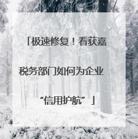 极速修复！看获嘉税务部门如何为企业“信用护航”