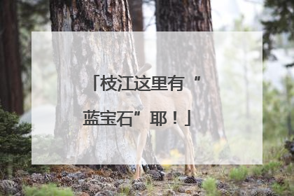 枝江这里有“蓝宝石”耶！