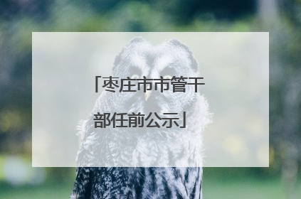 枣庄市市管干部任前公示