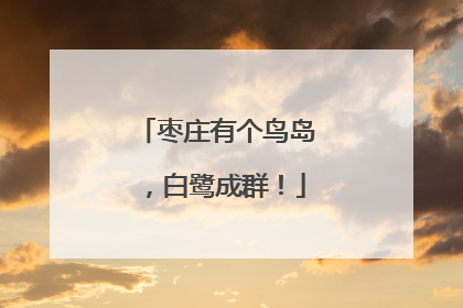 枣庄有个鸟岛，白鹭成群！